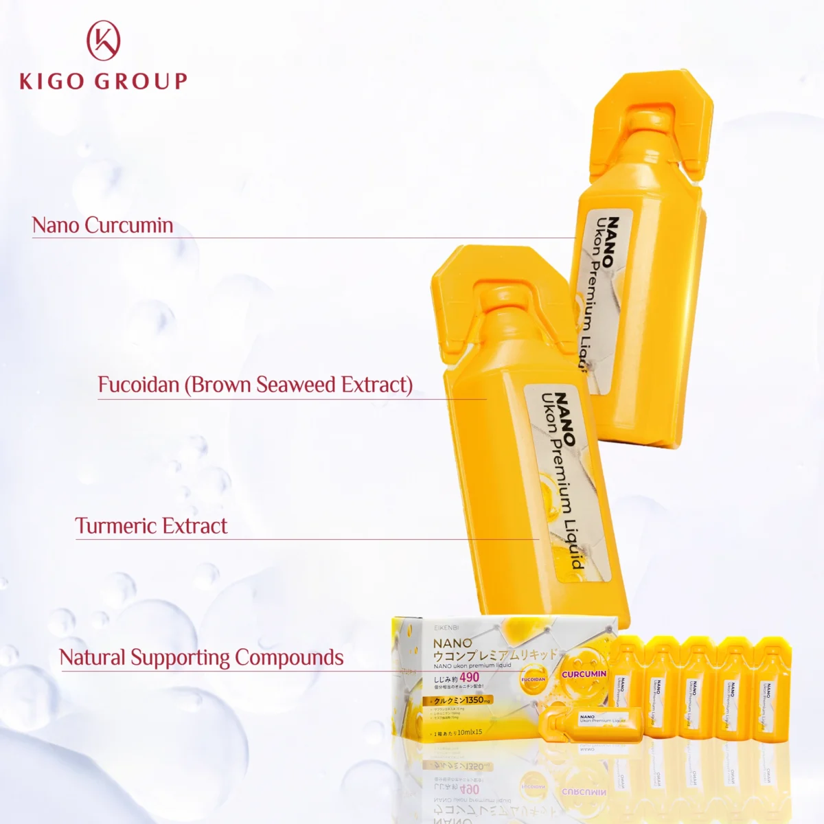 eikenbi-nano-fucoidan-turmeric-premium-liquid-2