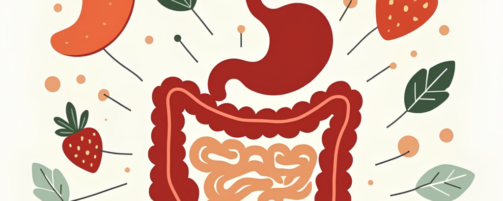 protecting-your-gut-in-the-summer-heat